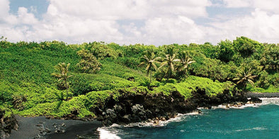An image from Hawaii, where Roamori hosts their trips.